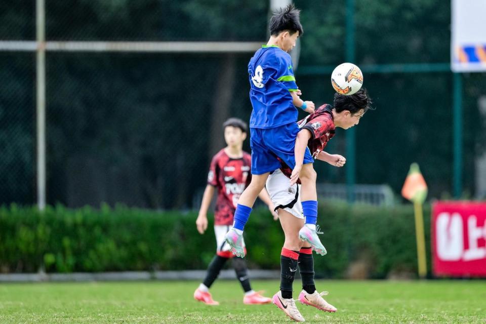 bt, 浙江U bt, 浙江U